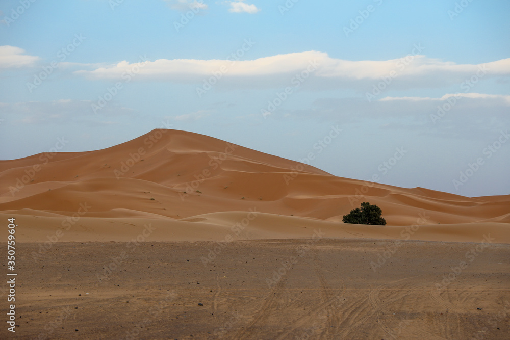 Desert in Morocco.