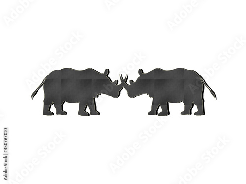 Two Rhinos 