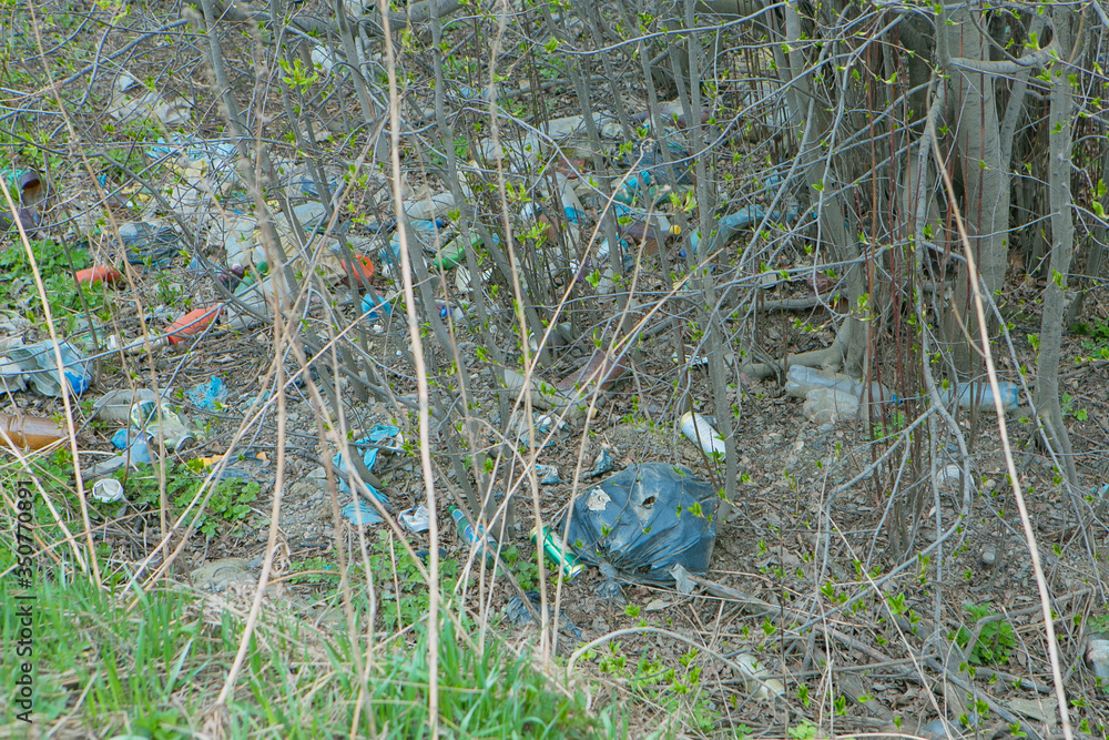 a pile of garbage in the woods. garbage collapse. Environmental pollution. environmental
