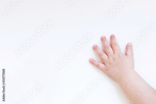 hand's of newborn baby close up on white background