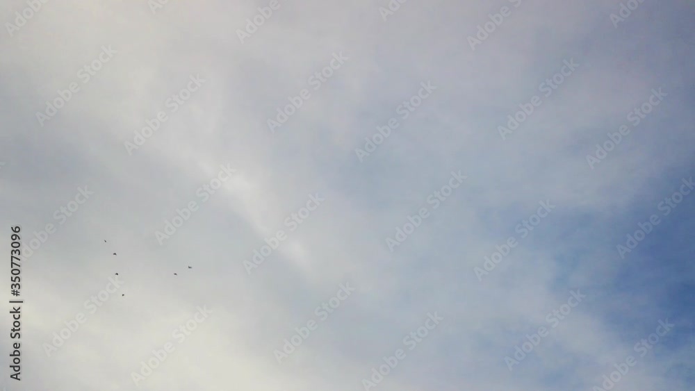 Beautiful morning sky with six little birds flying around the clouds with blue sky. Beautiful morning sky with six little birds flying around the clouds with blue sky.