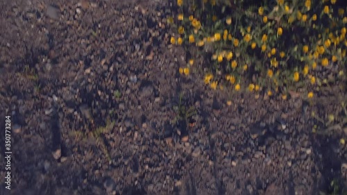 Forward movement at a countryside field from high angle photo