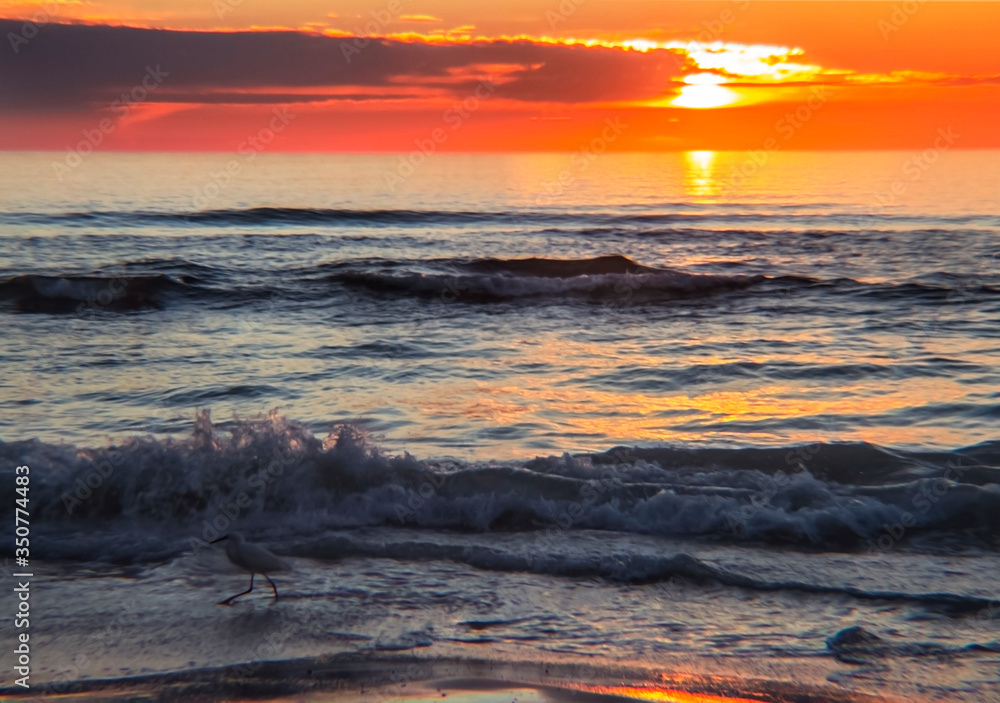 sunset over the sea, sky, ocean, beach, water, sun, orange, waves, bird, splash, color