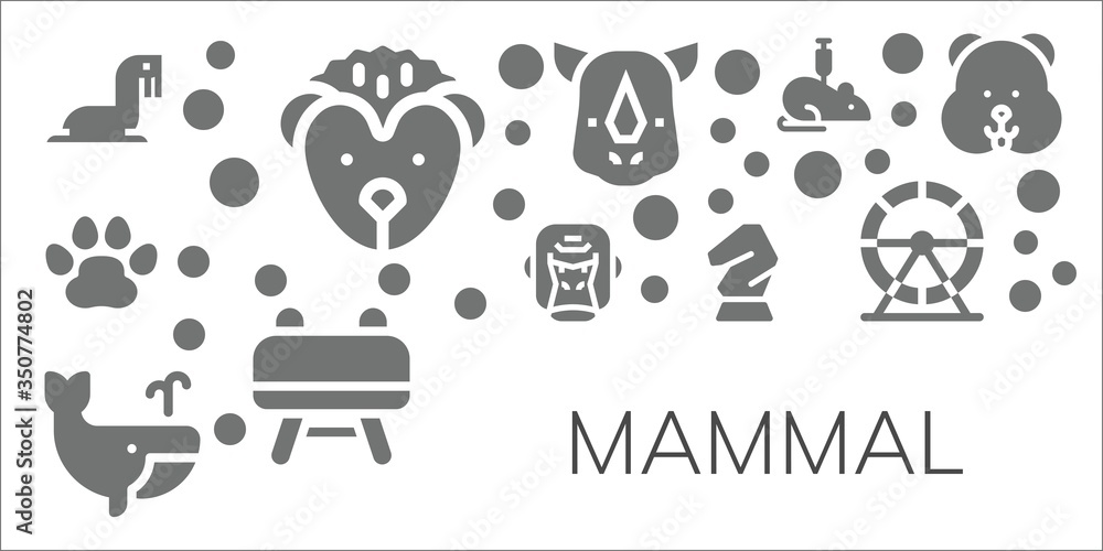mammal icon set mammal icon set
