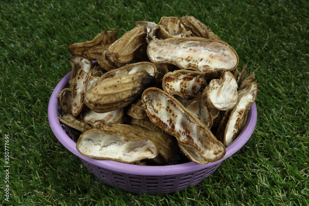Pile of nut shell in the plastic basket on the grass field. Food scrap for making fertilizer concept. Pile of nut shell in the plastic basket on the grass field. Food scrap for making fertilizer concept.