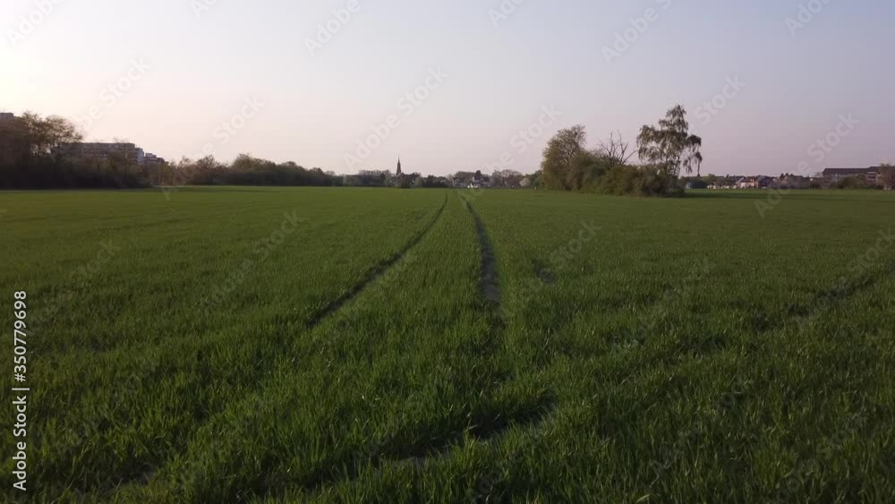 Drone flying closely over a green field with tracks of a harvester while sun is setting on western Europe Drone flying closely over a green field with tracks of a harvester while sun is setting on western Europe