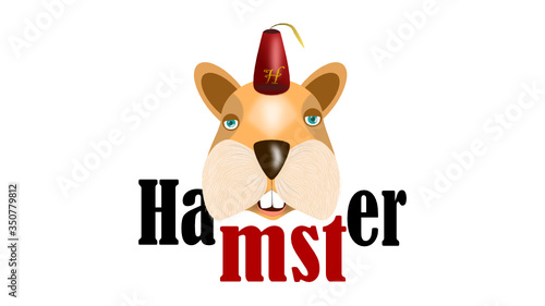 cute hamster in a Turkish hat