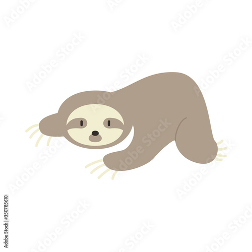 cute sloth animal vector