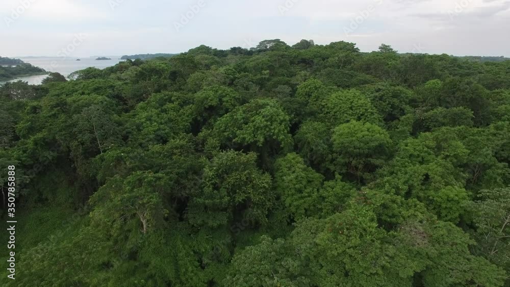 Tropical Jungle Islands Panama Drone Video Tropical Jungle Islands Panama Drone Video