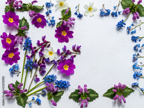 The layout of spring flowers on white paper