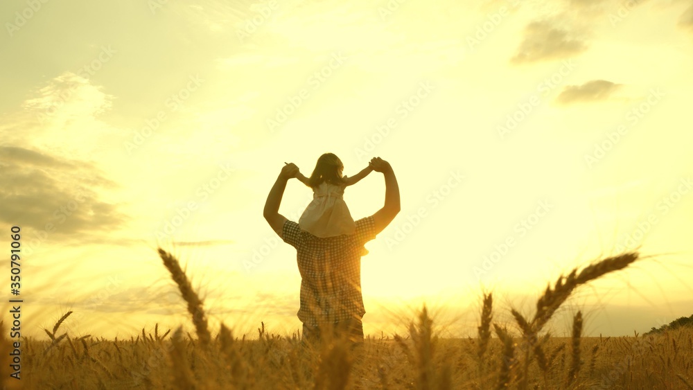 little daughter on father's shoulders. baby boy and dad travel on a wheat field. child and parent play in nature. happy family and childhood concept. Slow motion