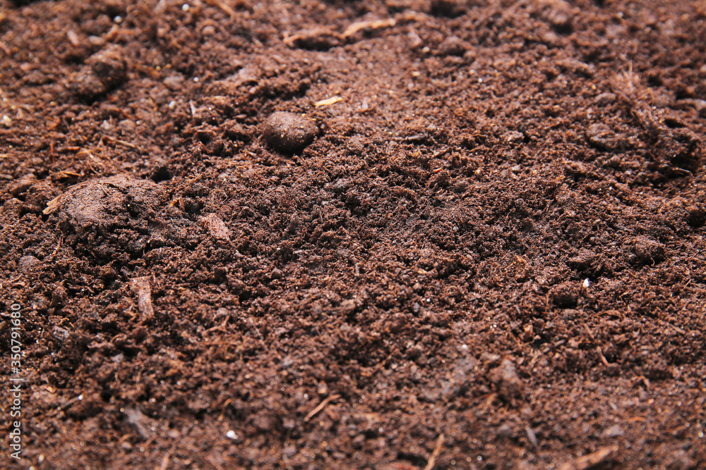Texture of soil as background Texture of soil as background