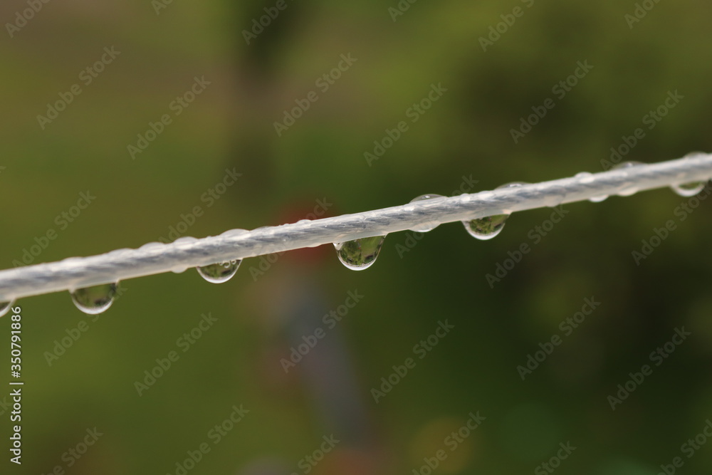 water droplets on a green background on a rope after rain. raindrops. rain. water bubbles water droplets on a green background on a rope after rain. raindrops. rain. water bubbles