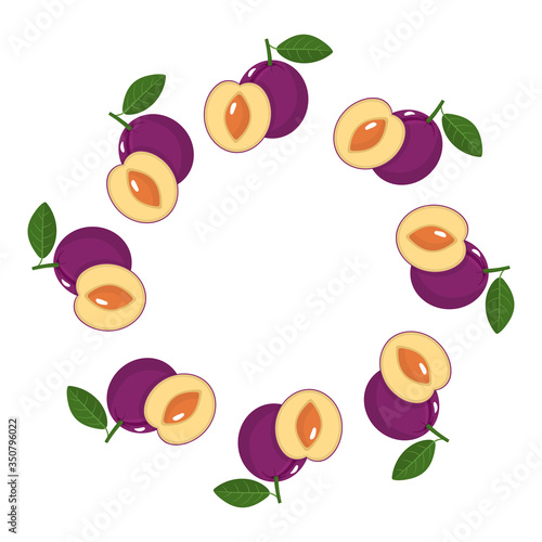 Wreath from plum fruits with space for text. Cartoon organic sweet food. Summer fruits for healthy lifestyle. Vector illustration for any design.