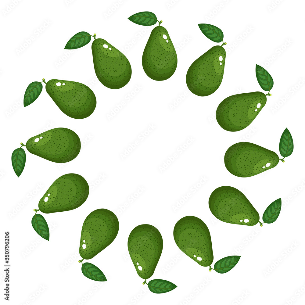 Wreath from green whole avocado with space for text. Cartoon organic sweet food. Summer fruits for healthy lifestyle. Vector illustration for any design.