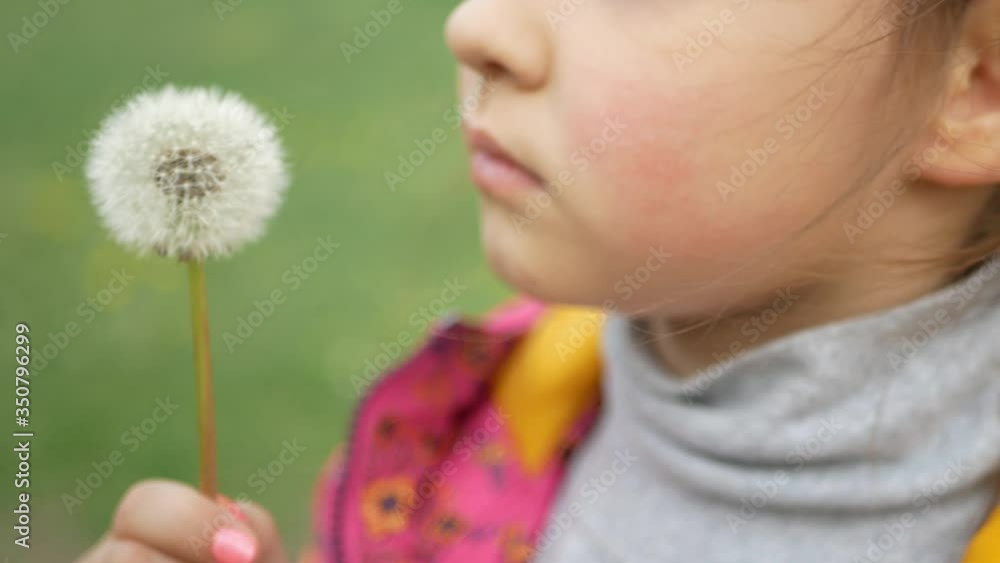 Faded dandelions die on a sunny day from the blows of a persistent girl. Faded dandelions die on a sunny day from the blows of a persistent girl.