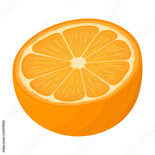 Fresh bright exotic half tangerine or mandarin isolated on white background. Summer fruits for healthy lifestyle. Organic fruit. Cartoon style. Vector illustration for any design.