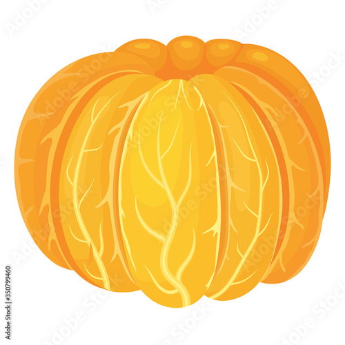 Fresh bright exotic peeled tangerine or mandarin side view isolated on white background. Summer fruits for healthy lifestyle. Organic fruit. Cartoon style. Vector illustration for any design.