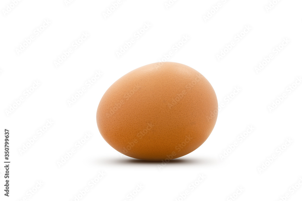 chicken egg isolated on white background. chicken egg isolated on white background.