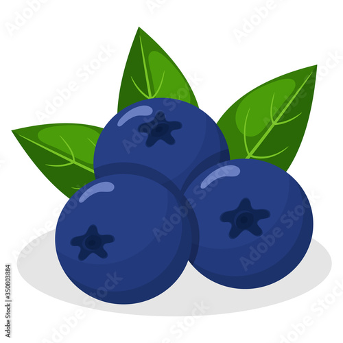 Fresh bright exotic blueberry isolated on white background. Summer fruits for healthy lifestyle. Organic fruit. Cartoon style. Vector illustration for any design.
