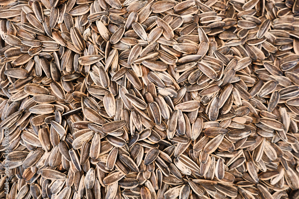 black and white sunflower seeds background or texture black and white sunflower seeds background or texture