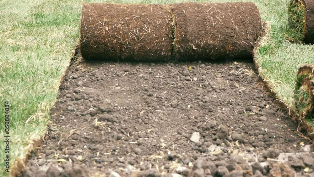 Laying rolls of new natural grass by a professional gardener. Landscape industry. Laying rolls of new natural grass by a professional gardener. Landscape industry.