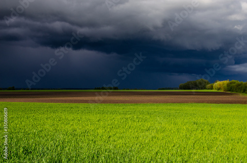 Hail storm over farmers  wide fields. Storm clouds over the field