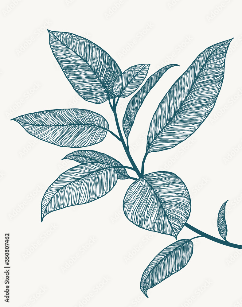 Ficus line art illustration. Minimalist botanical poster. Tropical plant branch. Hand drawn floral background. Abstract design artwork. Line floral drawing. Blue marine summer fresh colors. Ficus line art illustration. Minimalist botanical poster. Tropical plant branch. Hand drawn floral background. Abstract design artwork. Line floral drawing. Blue marine summer fresh colors.