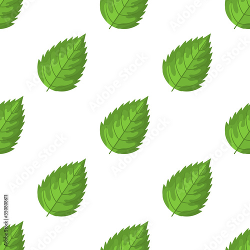 Seamless pattern with decorative green raspberry leaves on white background. Vector illustration for any design. © Alody