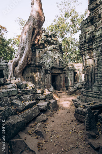 Cambodia. Angor Wat. Temple of the prom. The temple where they shot the film Lara Croft. Story. Ancient world. Nature and man. Antiquity. Ancient temples. Ruin. Tree roots