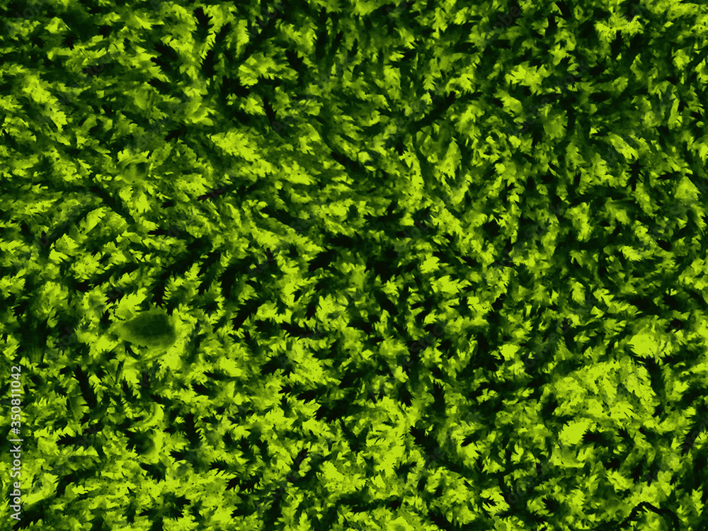 Obraz premium Diseño creativo hecho de hojas verdes. Concepto de naturaleza. Patrón de fondo verde. Textura natural de hojas brillantes y verdes.