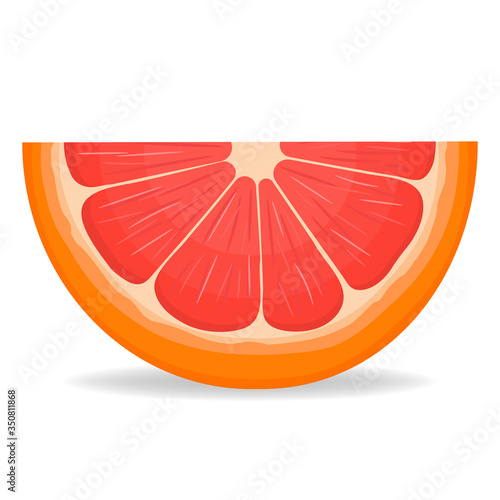 Fresh bright exotic cut slice grapefruit isolated on white background. Summer fruits for healthy lifestyle. Organic fruit. Cartoon style. Vector illustration for any design.