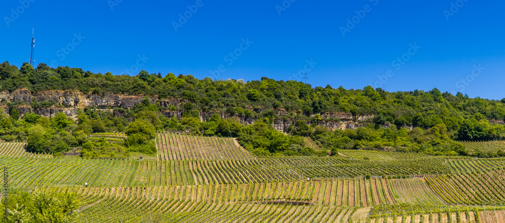 Vineyards in the hills near Nittel, Germany