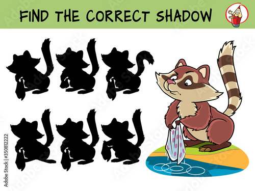 Funny raccoon. Find the correct shadow. Educational matching game for children. Cartoon vector illustration