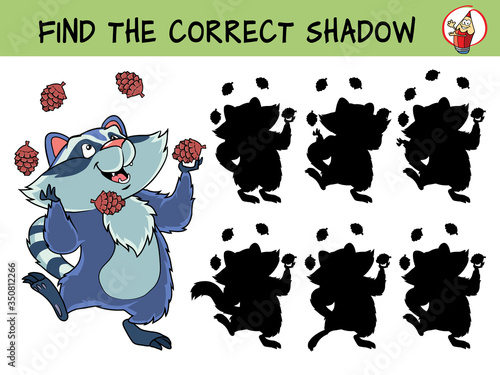 Funny raccoon juggling cones. Find the correct shadow. Educational matching game for children. Cartoon vector illustration
