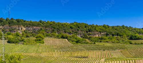 Vineyards in the hills near Nittel, Germany
