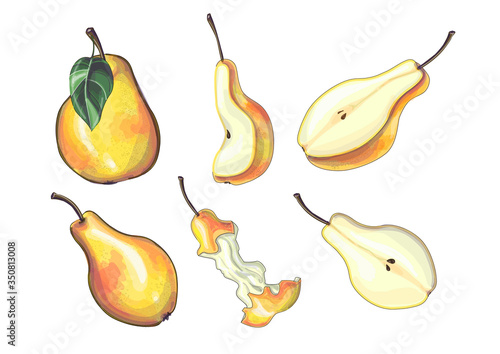 Stock vector illustration. Set of yellow pears - different sizes and shapes of pears, half, slices and a raw pear. Isolated over white background.