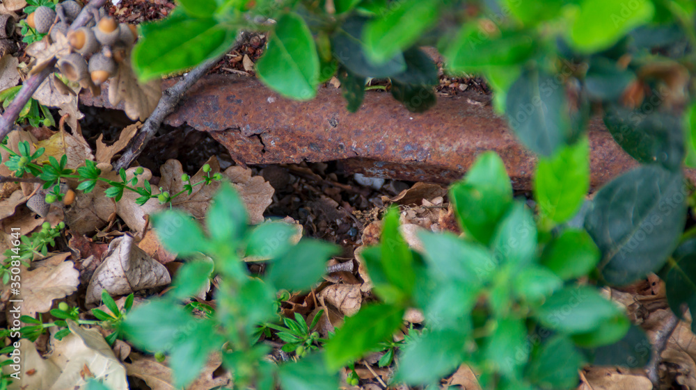 Vecchia lamiera in ferro arrugginita nella natura Vecchia lamiera in ferro arrugginita nella natura