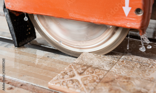 The diamond disk of a wet saw.