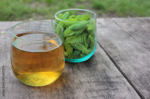Spruce Tips tea in glass on wood table. Close up of conifer young green cones on nature background