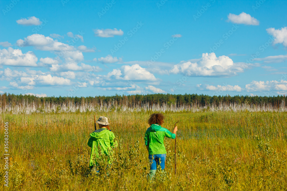 swamp bog scenic spot