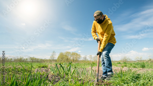 pensioner in sterile gloves and disposable mask digs vegetable garden with shovel under bright spring sunlight