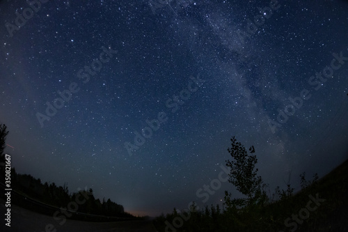 Picture of nightly blue sky with stars and trees