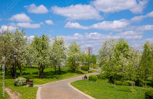 Fototapeta Naklejka Na Ścianę i Meble -  Spring in the city park
