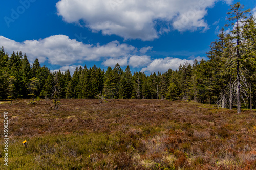 Wandern an verschiedenen Orten durch den Thüringer Wald - Thüringer Wald / Deutschland photo