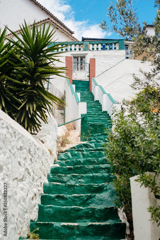 Fototapeta premium house on the sea, green steps on hydra island greece