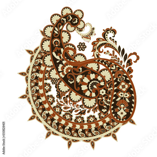 isolated Paisley pattern in indian style. Floral vector illustration