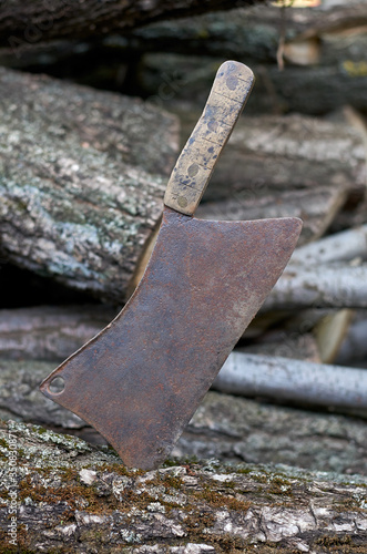 old rusty axe on tree logs in the garden in spring