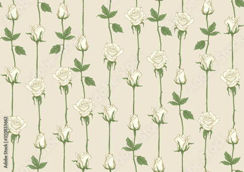 White roses seamless pattern, background. Colored vector illustration