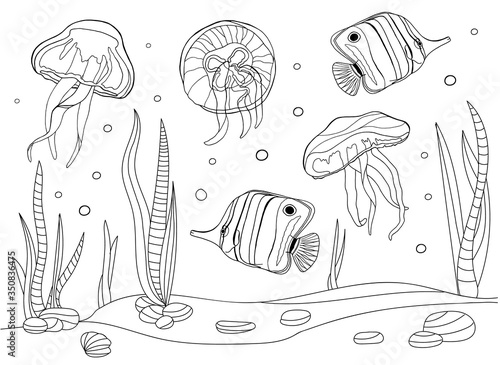 Coloring pages for kids and adults. Tropical fish and jellyfish vector illustration. Outline underwater scene. Black and white exotic marine bottom life. Cartoon doodle butterflyfish and shells